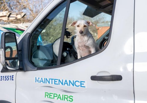 full guide to the best high schools in Castle Hills TX