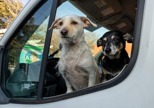 Your Go-To Guide for the Best High Schools in Terrell Hills