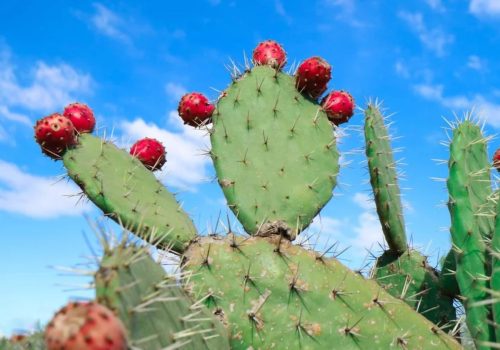 How much does it cost to repair an electric heater? - ASC He How much does it cost to repair an electric heater? - ASC Heating and air best in san antonio texas