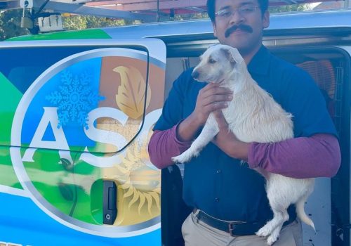 The best experiences about Alamo Heights TX - Alamo Heights TX