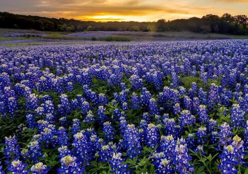 What is the $5000 AC rule? - ASC Heating and air best in san antonio texas