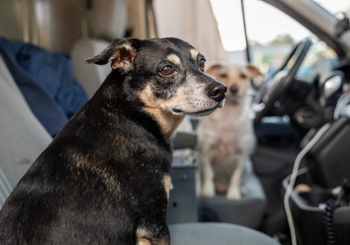 Who should I call if my heater is not working? - ASC Heating Who should I call if my heater is not working? - ASC Heating and air best in san antonio texas